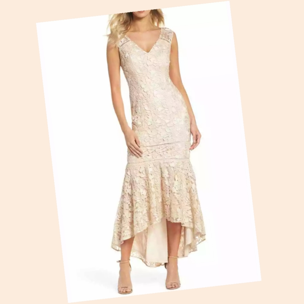 Adrianna Papell Beige Lace Gown